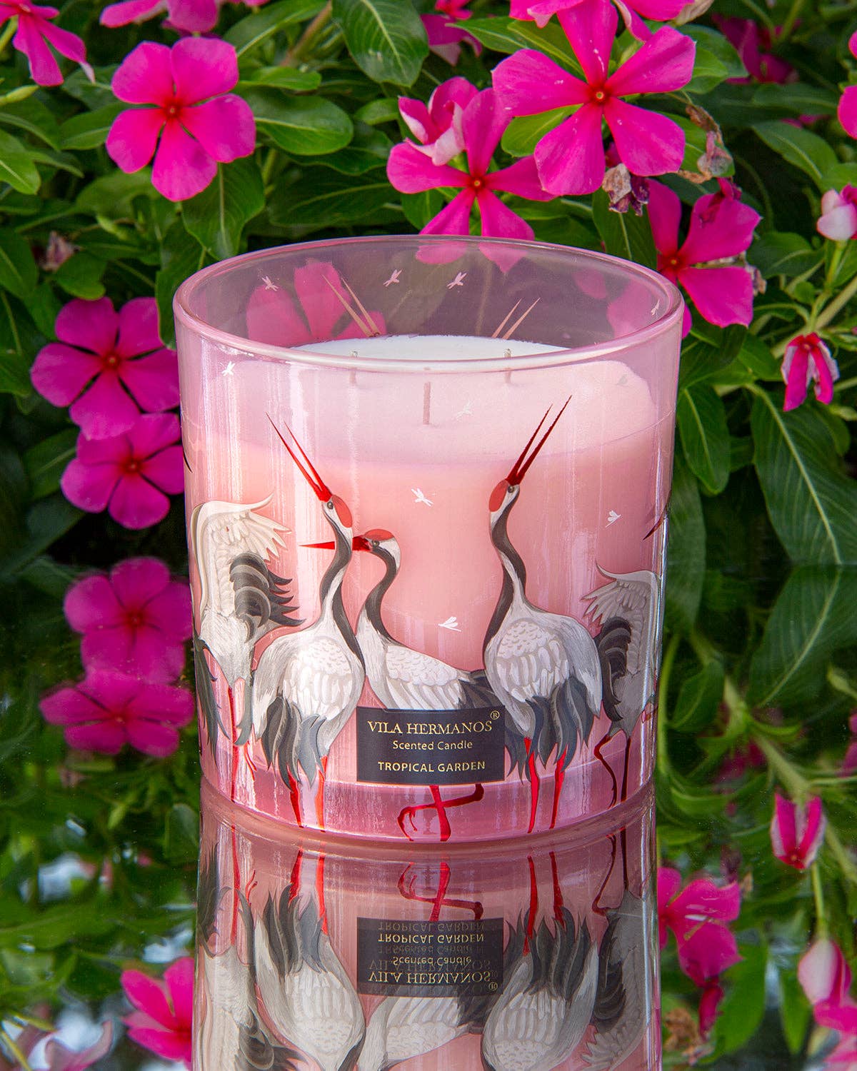 Candle in Jar JUNGLETOPIA FLAMINGO PINK 1450gr (Very Large Size)
