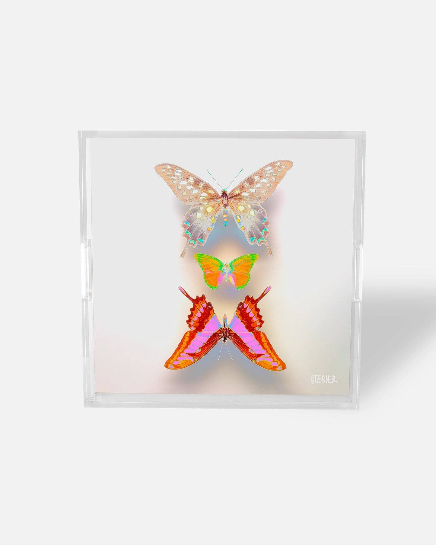 Triple Grace Butterfly Tray